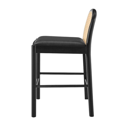 Donna Faux Leather Rattan Counter Stool, (Set of 2)
