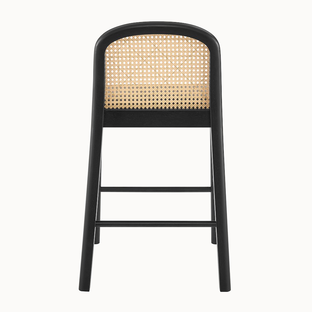 Donna Faux Leather Rattan Counter Stool, (Set of 2)