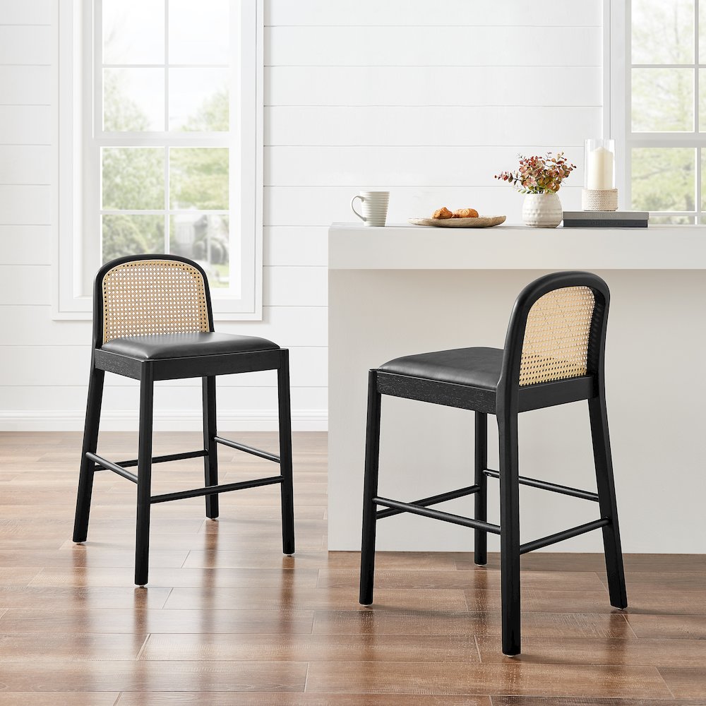 Donna Faux Leather Rattan Counter Stool, (Set of 2)