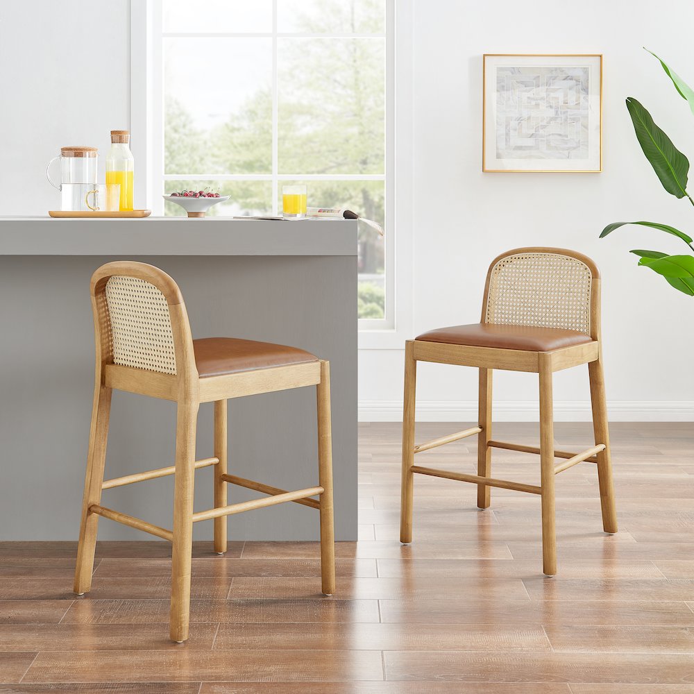 Donna Faux Leather Counter Stool, (Set of 2)