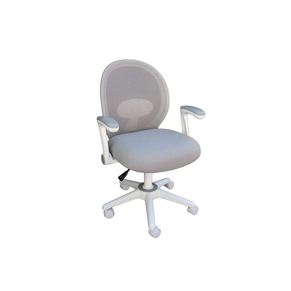 Boss Grey Mesh, Flip Arm, Task Chair, White Frame