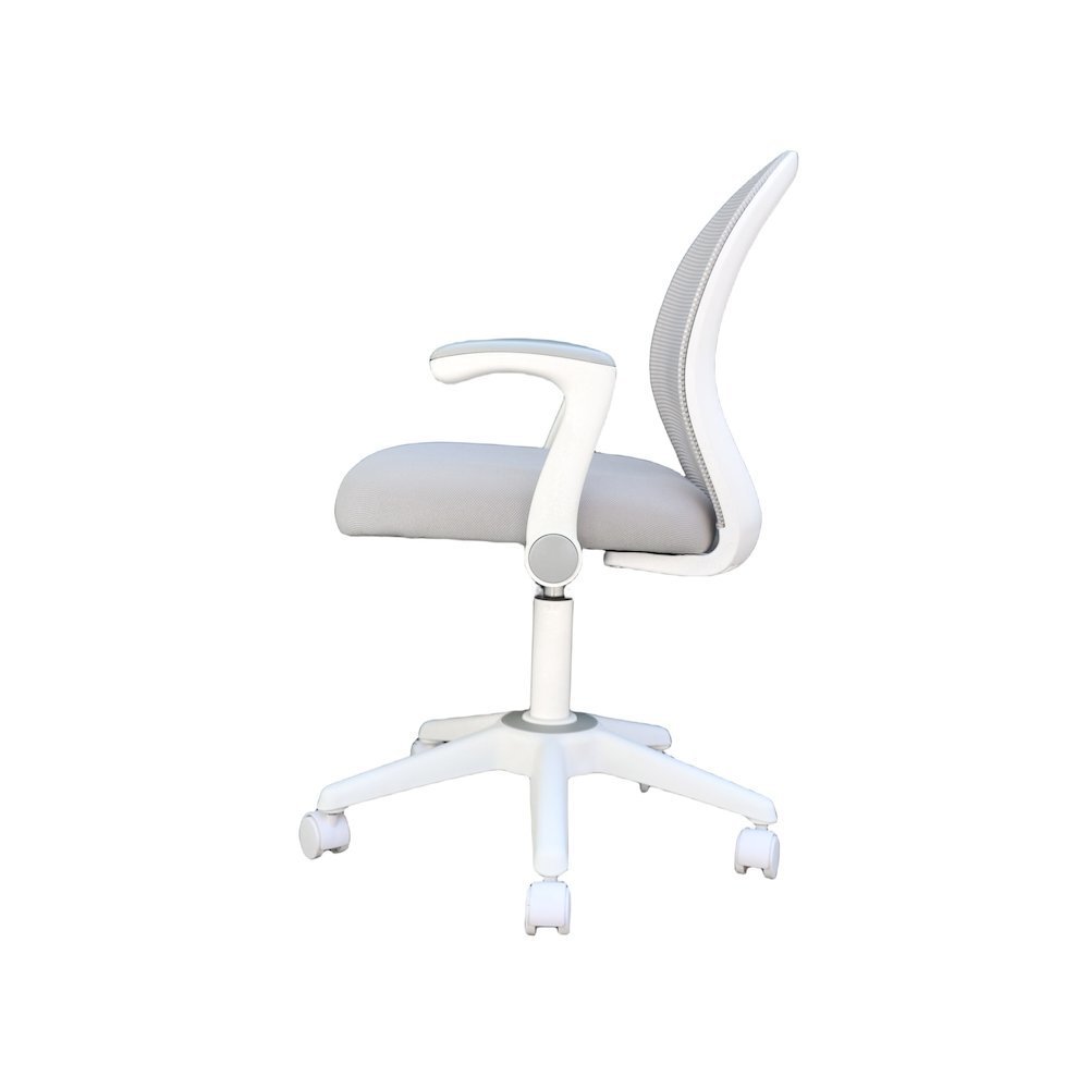 Boss Grey Mesh, Flip Arm, Task Chair, White Frame