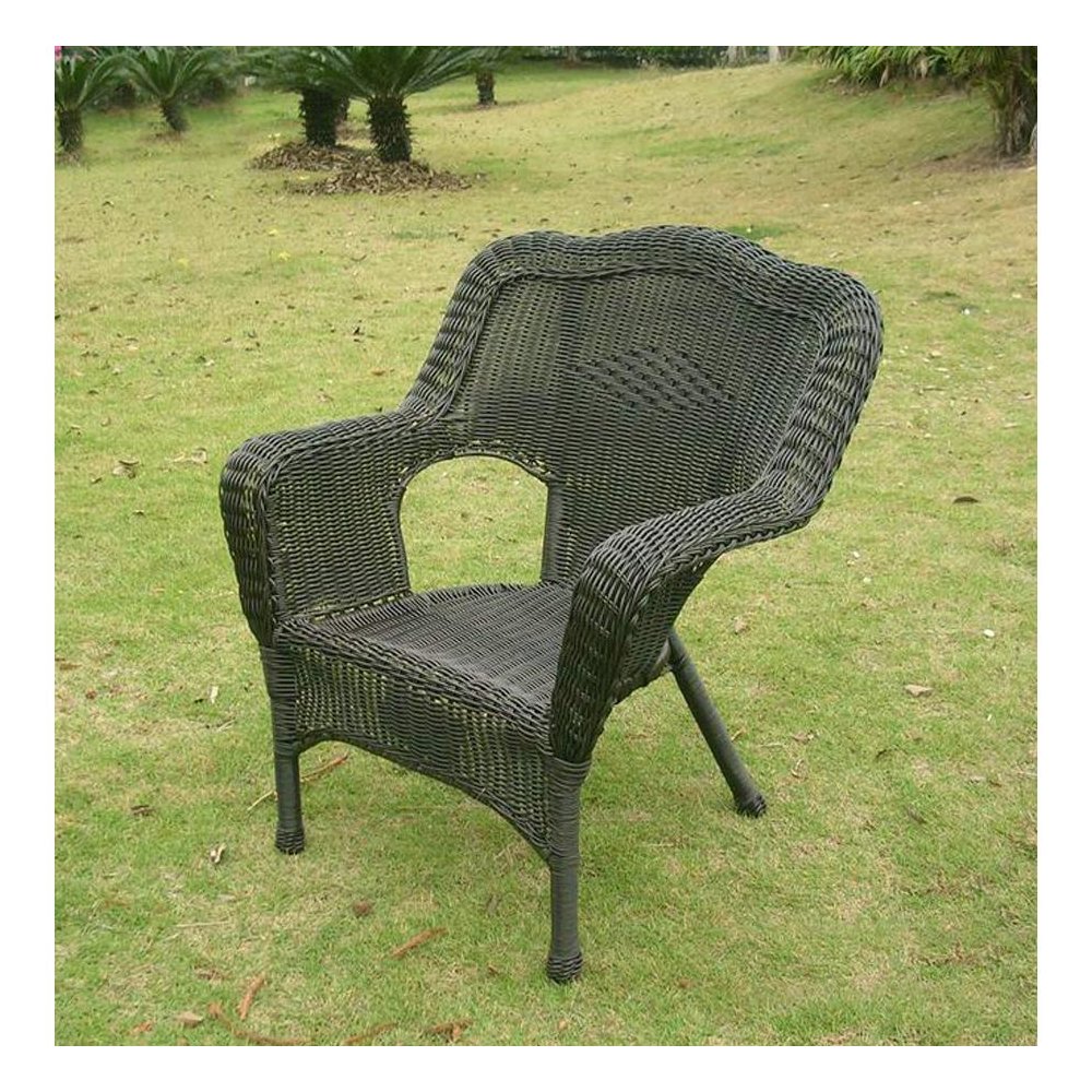 Camelback Resin Wicker Patio Chairs (Set of 2)