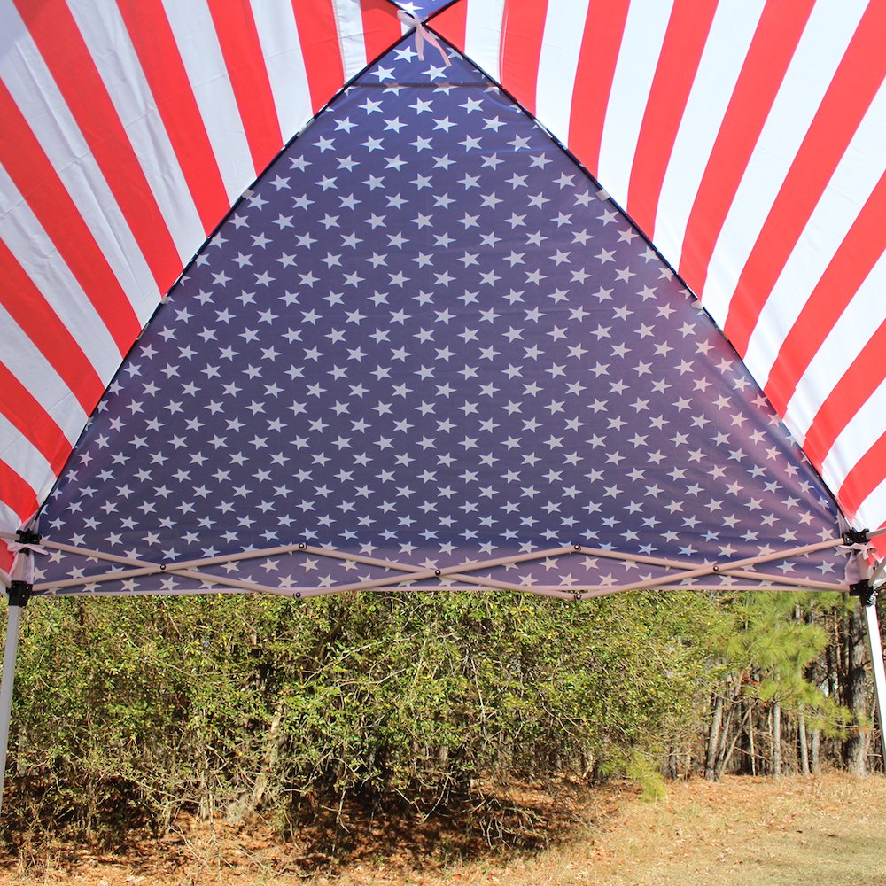 8-Feet by 8-Feet Instant Pop up Canopy with Weight Bags