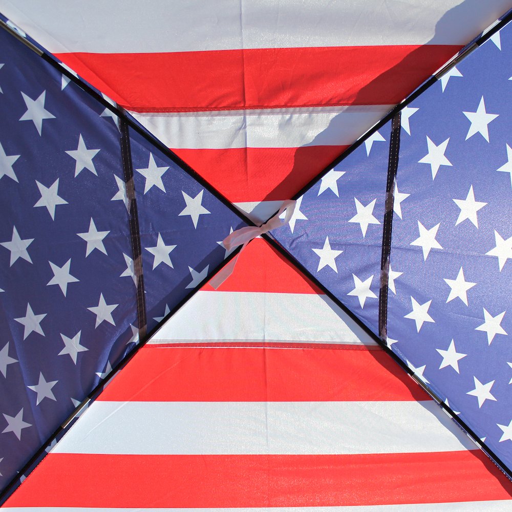 8-Feet by 8-Feet Instant Pop up Canopy with Weight Bags