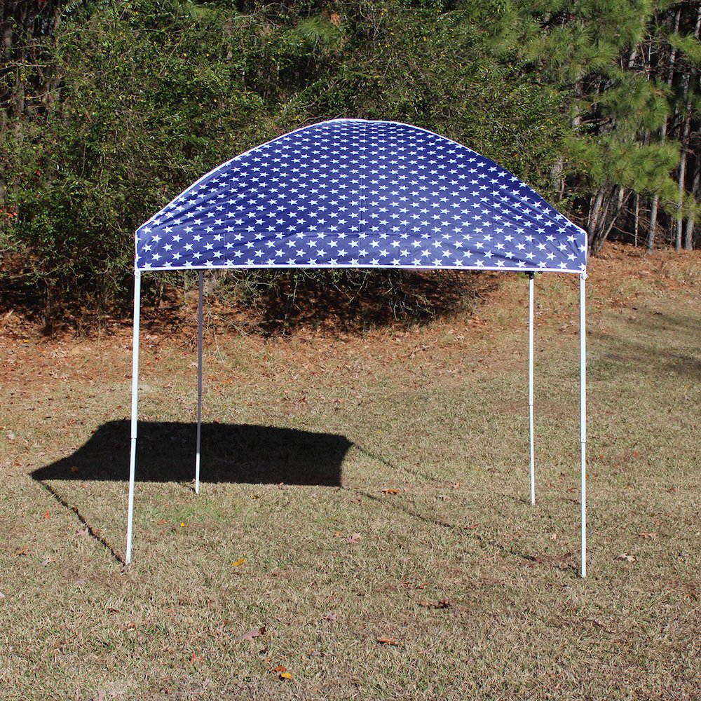 8-Feet by 8-Feet Instant Pop up Canopy with Weight Bags