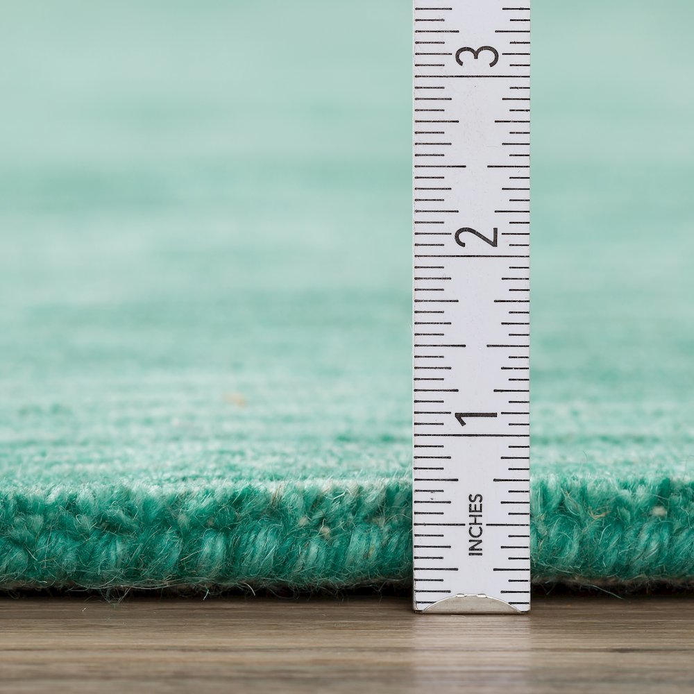 Rafia RF100 Emerald 2' x 3' Rug