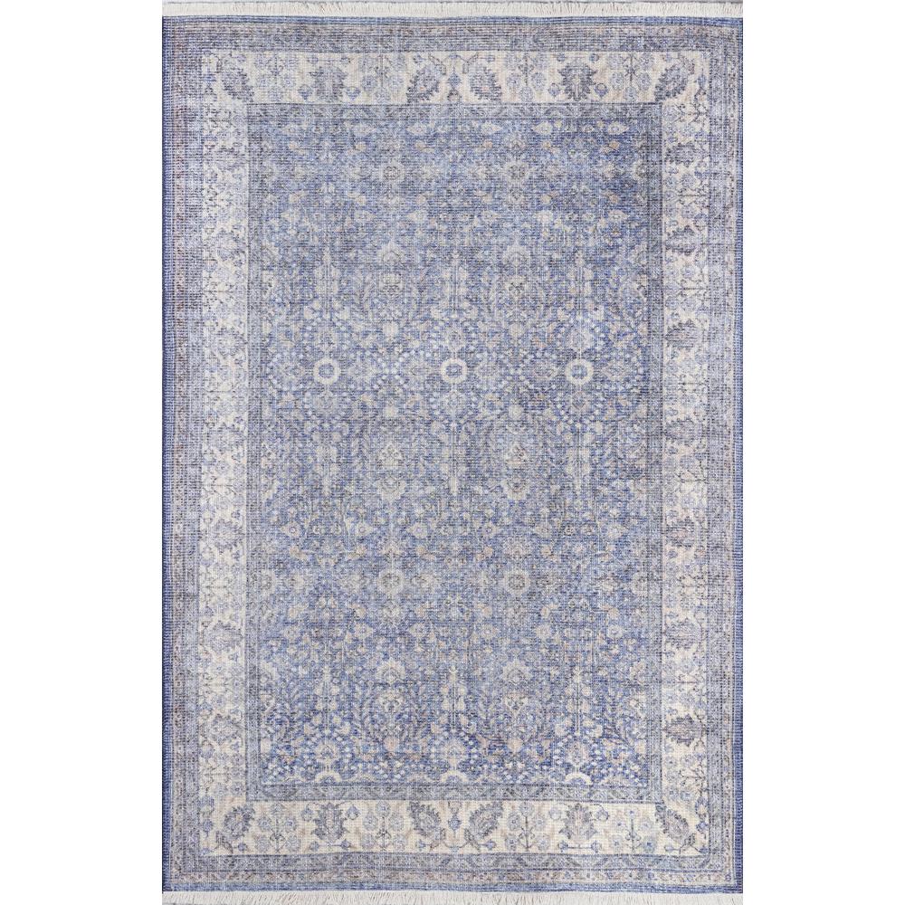 Traditional Runner Area Rug, Blue, 2'6" X 8' Runner