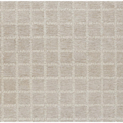 Contemporary Rectangle Area Rug, Beige, 3'6" X 5'6"