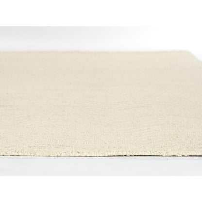 Contemporary Rectangle Area Rug, Ivory, 3'6" X 5'6"
