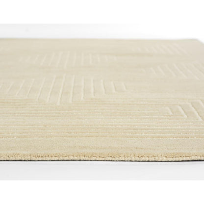 Contemporary Rectangle Area Rug, Beige, 3'6" X 5'6"