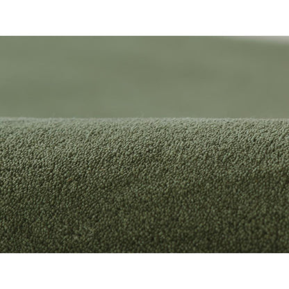 Contemporary Rectangle Area Rug, Green, 3'6" X 5'6"