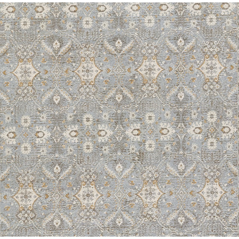 Traditional Rectangle Area Rug, Blue, 8' X 10'
