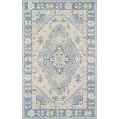 Traditional Rectangle Area Rug, Blue, 2' X 3'