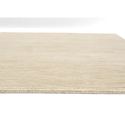 Contemporary Rectangle Area Rug, Taupe, 2' X 4'