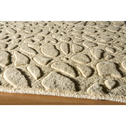 Contemporary Rectangle Area Rug, Beige, 3'6" X 5'6"