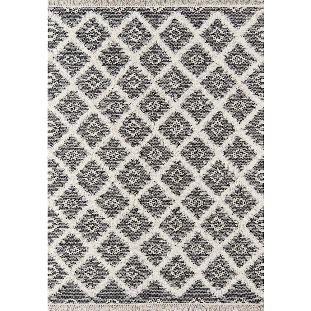 Contemporary Rectangle Area Rug, Black, 2' X 3'