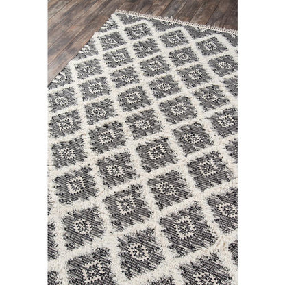 Contemporary Rectangle Area Rug, Black, 2' X 3'