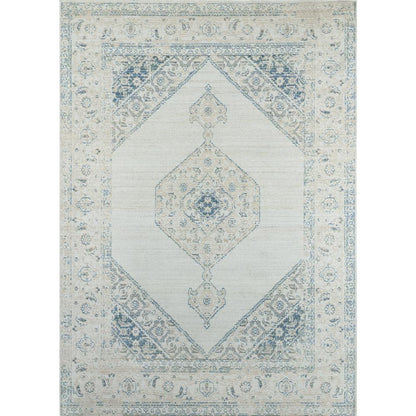 Traditional Rectangle Area Rug, Blue, 2' X 3'