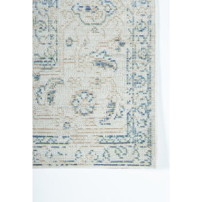 Traditional Rectangle Area Rug, Blue, 2' X 3'
