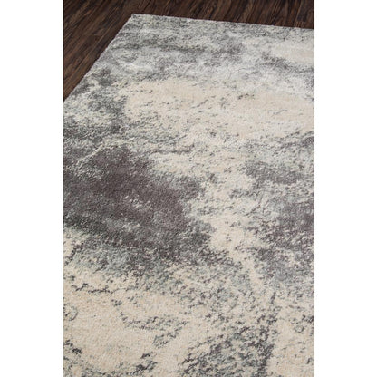 Contemporary Rectangle Area Rug, Neutral, 2' X 3'