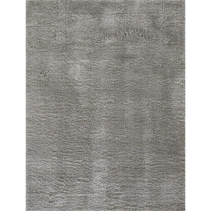 Contemporary Rectangle Area Rug, Light Grey, 5'3" X 7'