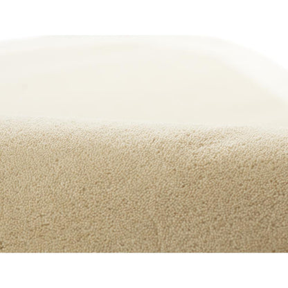 Contemporary Rectangle Area Rug, Beige, 2' X 4'