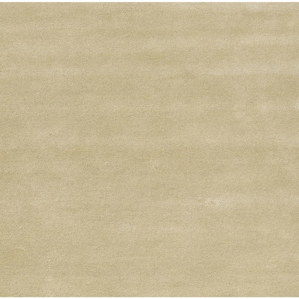 Contemporary Rectangle Area Rug, Beige, 2' X 4'