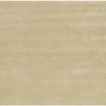 Contemporary Rectangle Area Rug, Beige, 2' X 4'