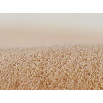 Contemporary Rectangle Area Rug, Pink, 2' X 4'