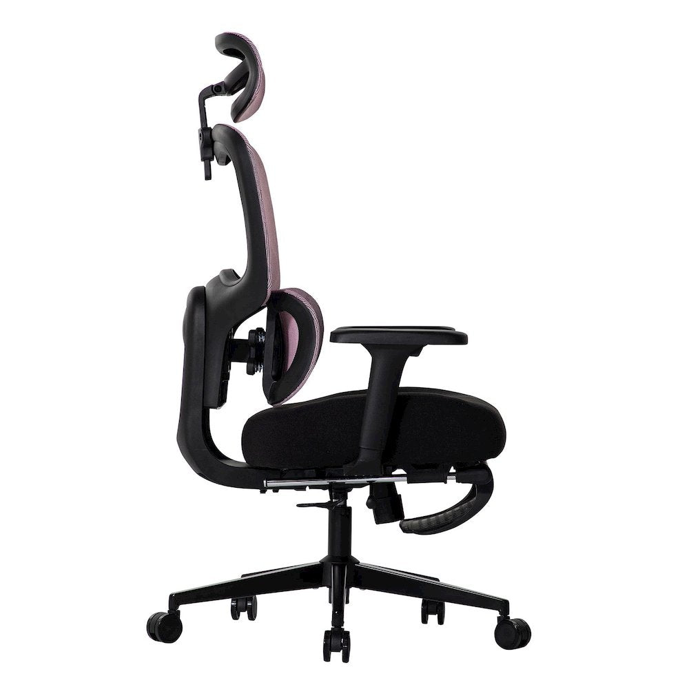 Office Chair with 9 Adjustable Points, Dual-Pad Lumbar Support, 3D Armrests