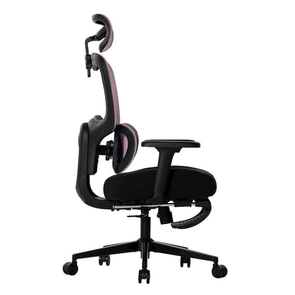 Office Chair with 9 Adjustable Points, Dual-Pad Lumbar Support, 3D Armrests