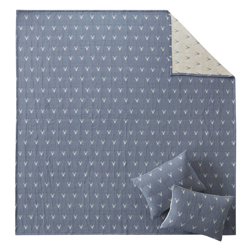 Keystone Coverlet Set, Blue color