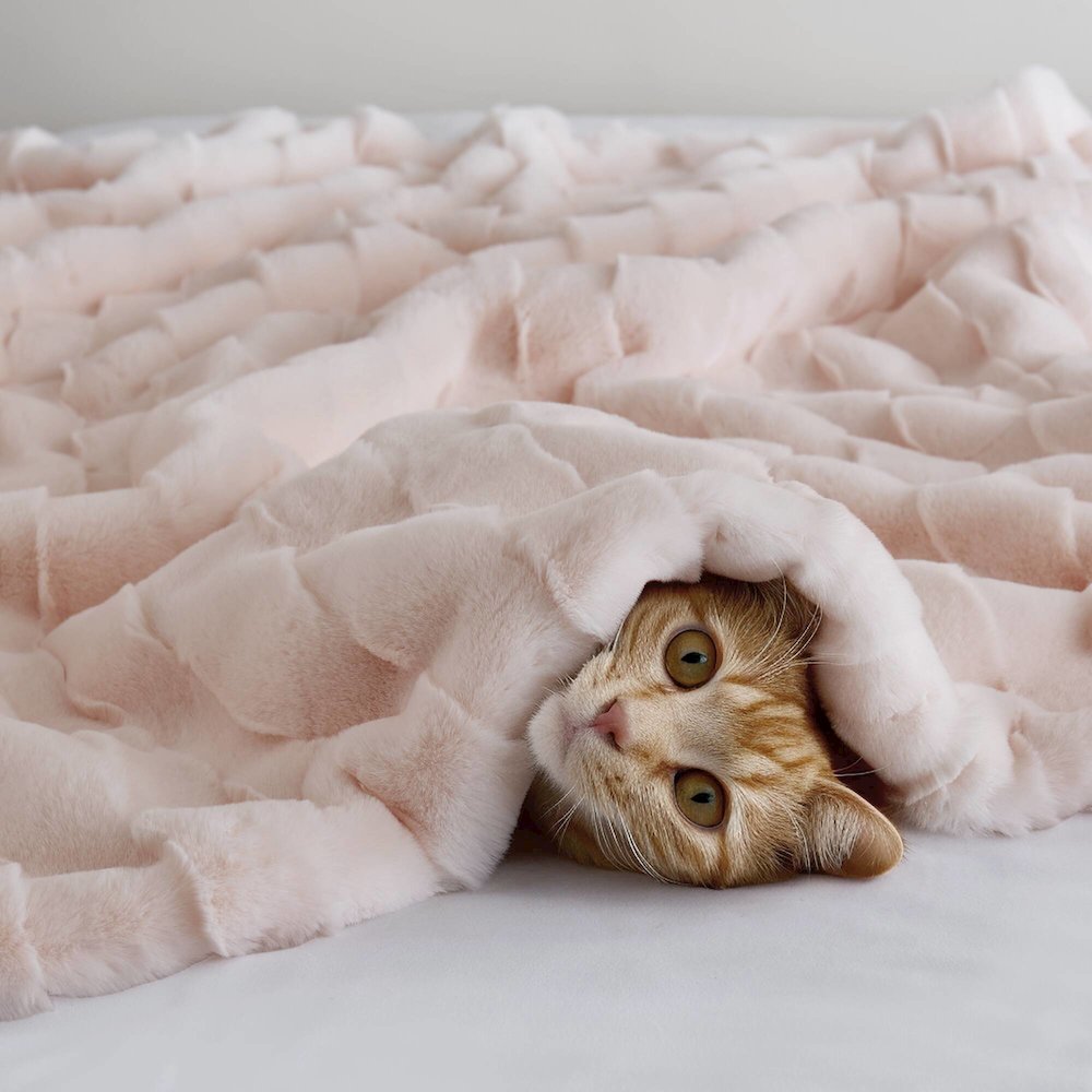Vivienne Faux Fur Throw, Pink color