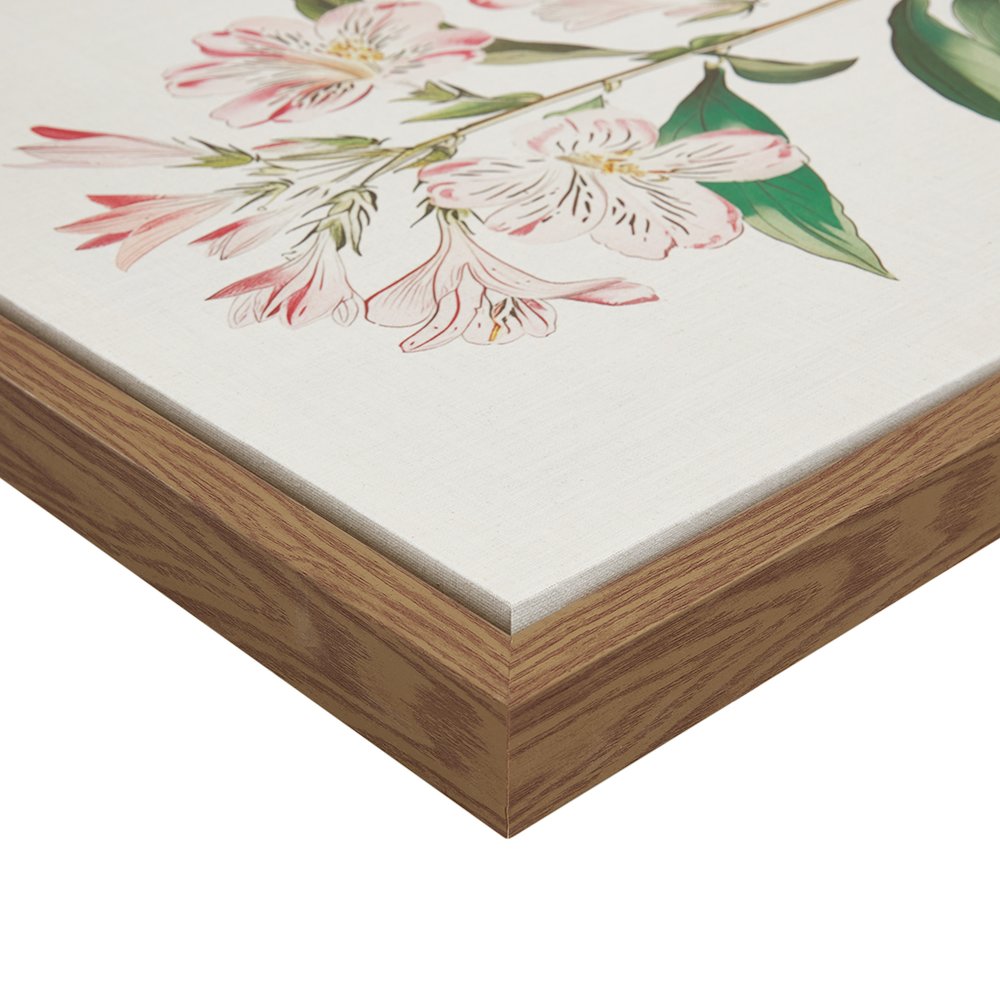 Herbal Botany 4-piece Botanical Illustration Framed Canvas Wall Art Set