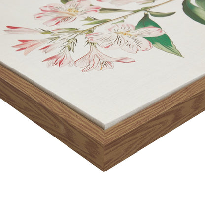 Herbal Botany 4-piece Botanical Illustration Framed Canvas Wall Art Set