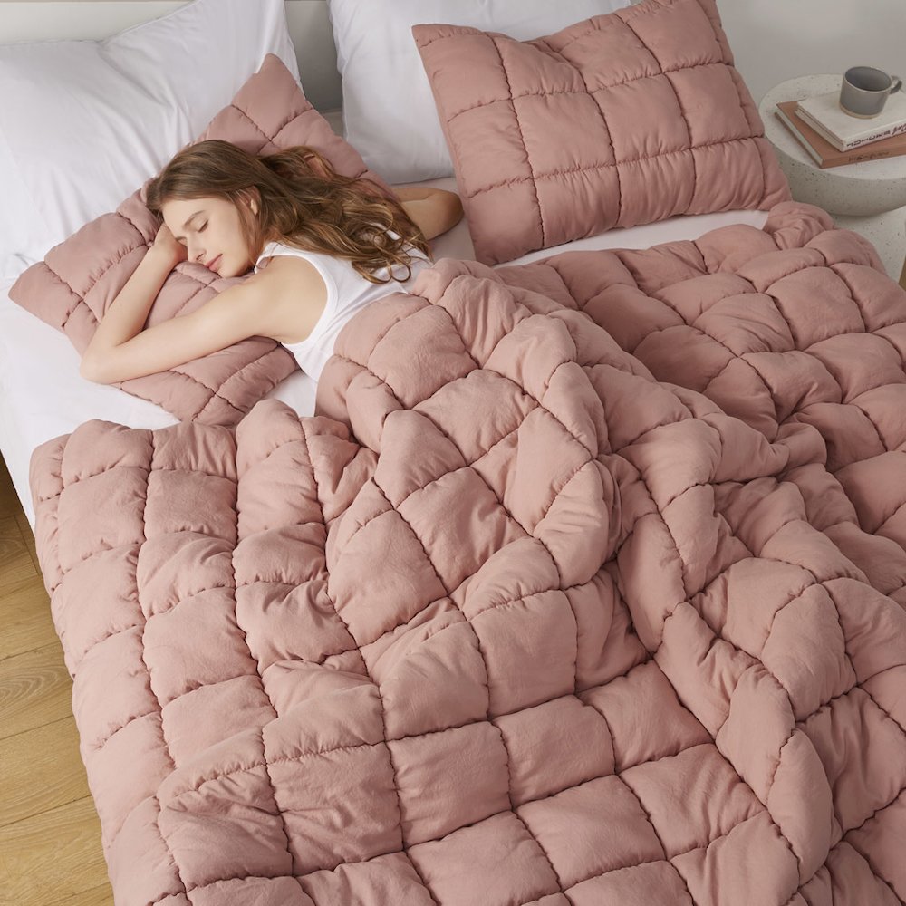 Dream Puff Down Alternative Comforter Set in Rose Color