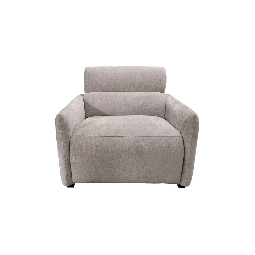 Power Modern Recliner