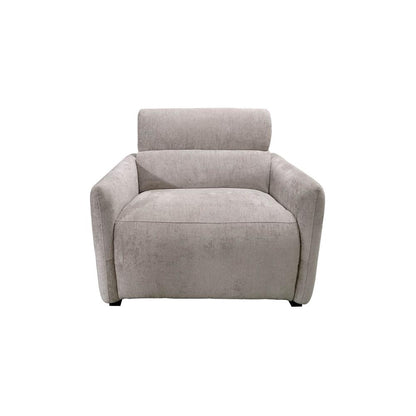 Power Modern Recliner