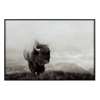 Bison Life Wall Decor