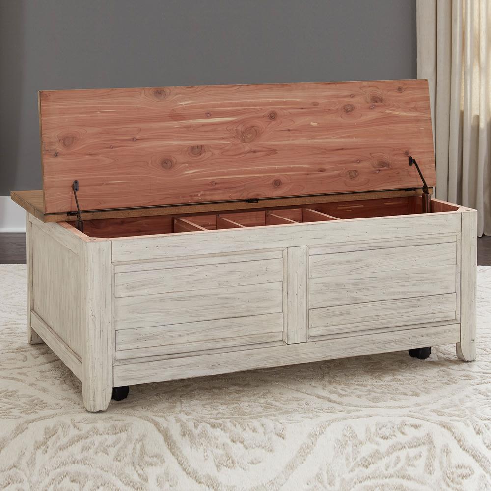 Farmhouse Reimagined Storage Trunk in Antique White w/ Chestnut Top