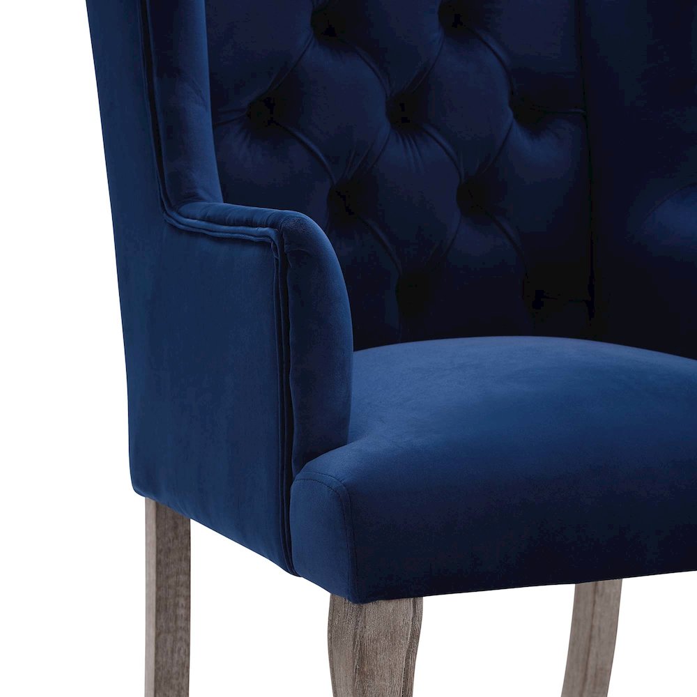Realm Performance Velvet Armchair Set of 2