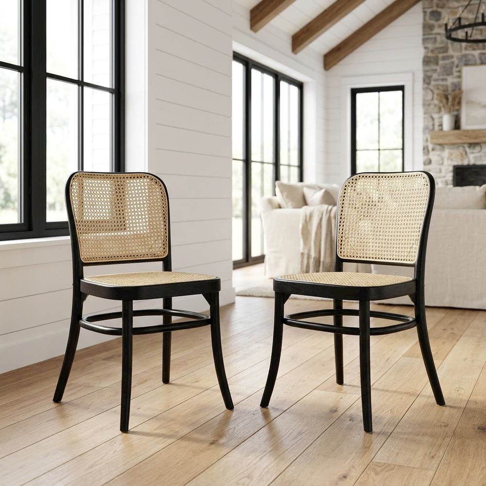Wood Modern Dining Side Chairs for Kitchen and Dining Room, Black, Set of 2