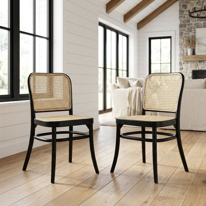 Wood Modern Dining Side Chairs for Kitchen and Dining Room, Black, Set of 2