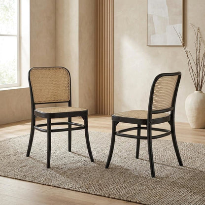 Wood Modern Dining Side Chairs for Kitchen and Dining Room, Black, Set of 2