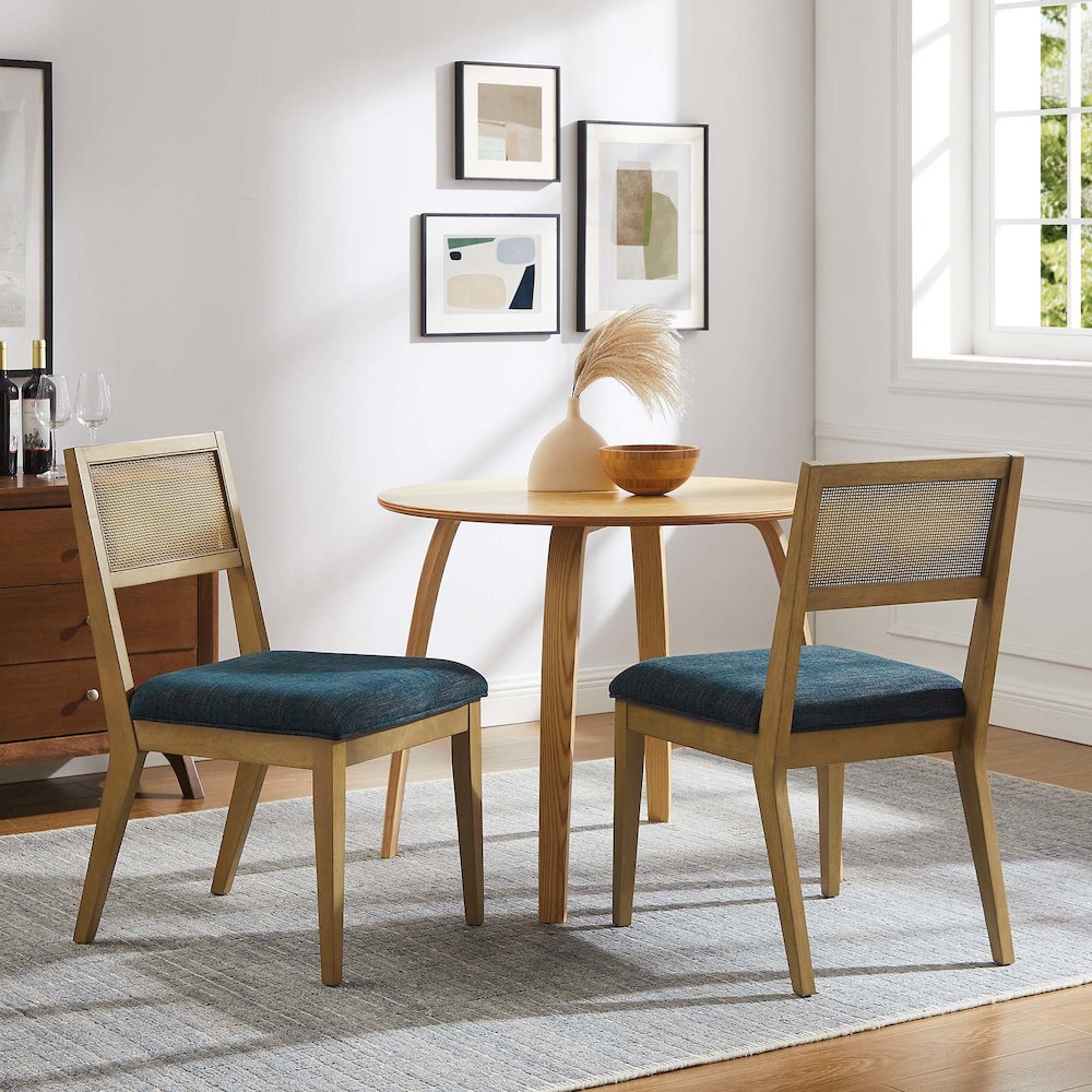 Nimba Faux Rattan Fabric Dining Chairs Set of 2