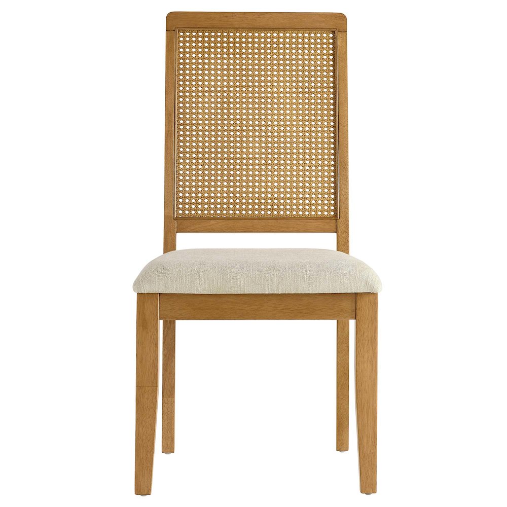Arlo Faux Rattan and Wood Dining Side Chairs Set of 2