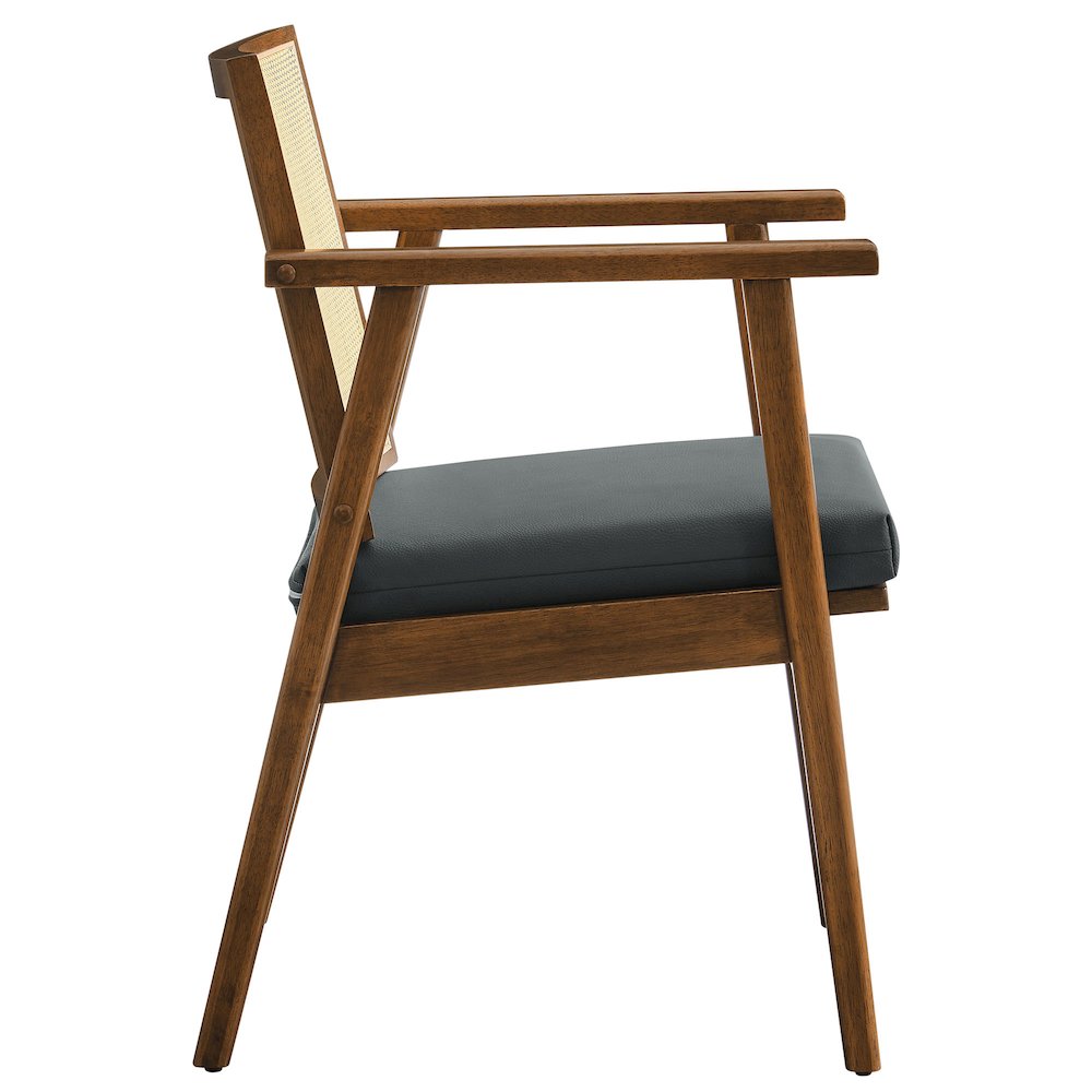 Thera Vegan Leather and Cane Accent Armchairs Set of 2