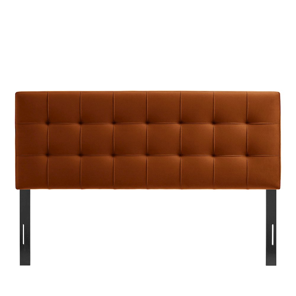 Lily Stain-Resistant Performance Velvet Full Size Headboard