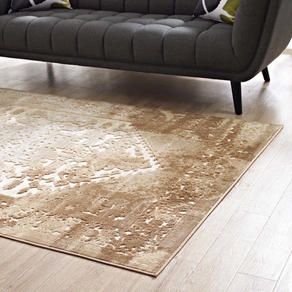 Rosina Distressed Vintage Medallion 5x8 Area Rug